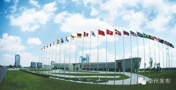 新春開(kāi)門(mén)紅 20個(gè)產(chǎn)業(yè)化項(xiàng)目扎堆中國(guó)醫(yī)藥城，技術(shù)服務(wù)開(kāi)啟新篇章